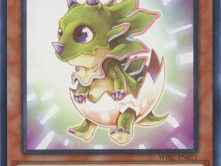 Babycerasaurus [WISU-EN013] Rare Cheap